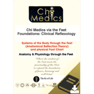 Chi Medics™ via the Feet: Foundations – Systems of the Body colour Booklet