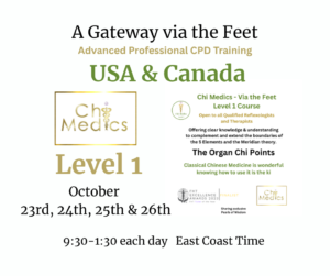 Chi Medics – Via The Feet, Practitioner Training  Level 1, USA and Canada (East Coast)